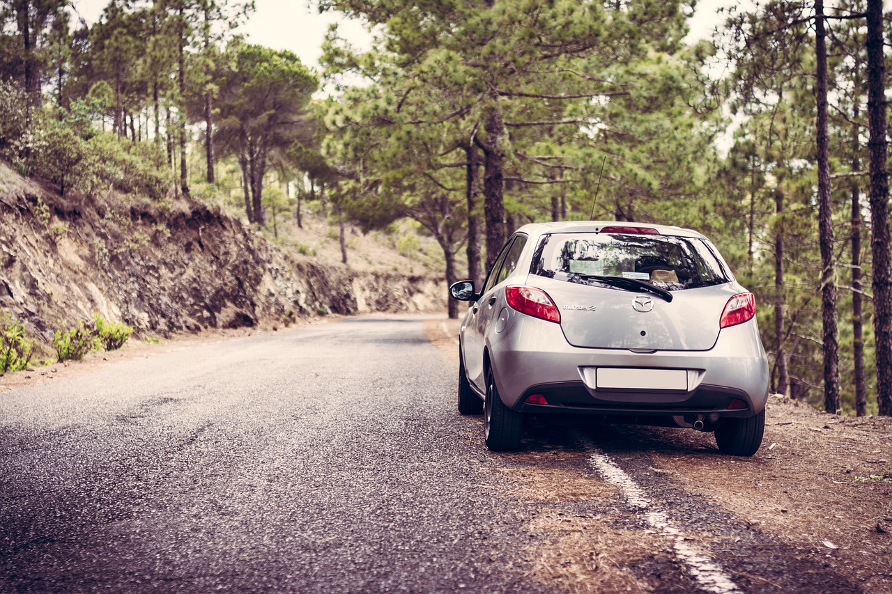 living simply fabulous road trip